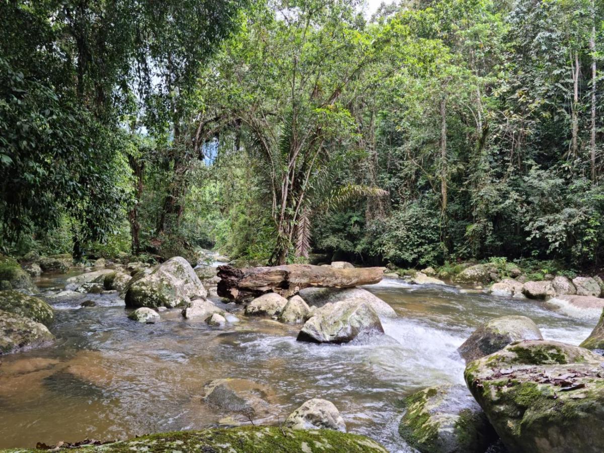Recanto Da Margo 1, Casa Com Acesso A Cachoeira Araquari Eksteriør bilde