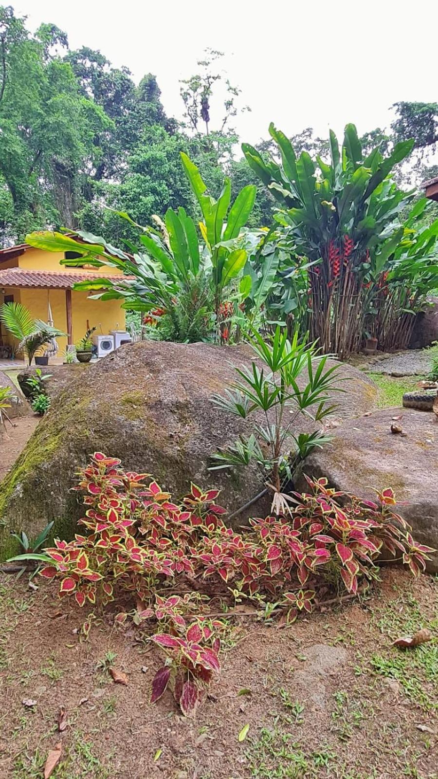 Recanto Da Margo 1, Casa Com Acesso A Cachoeira Araquari Eksteriør bilde
