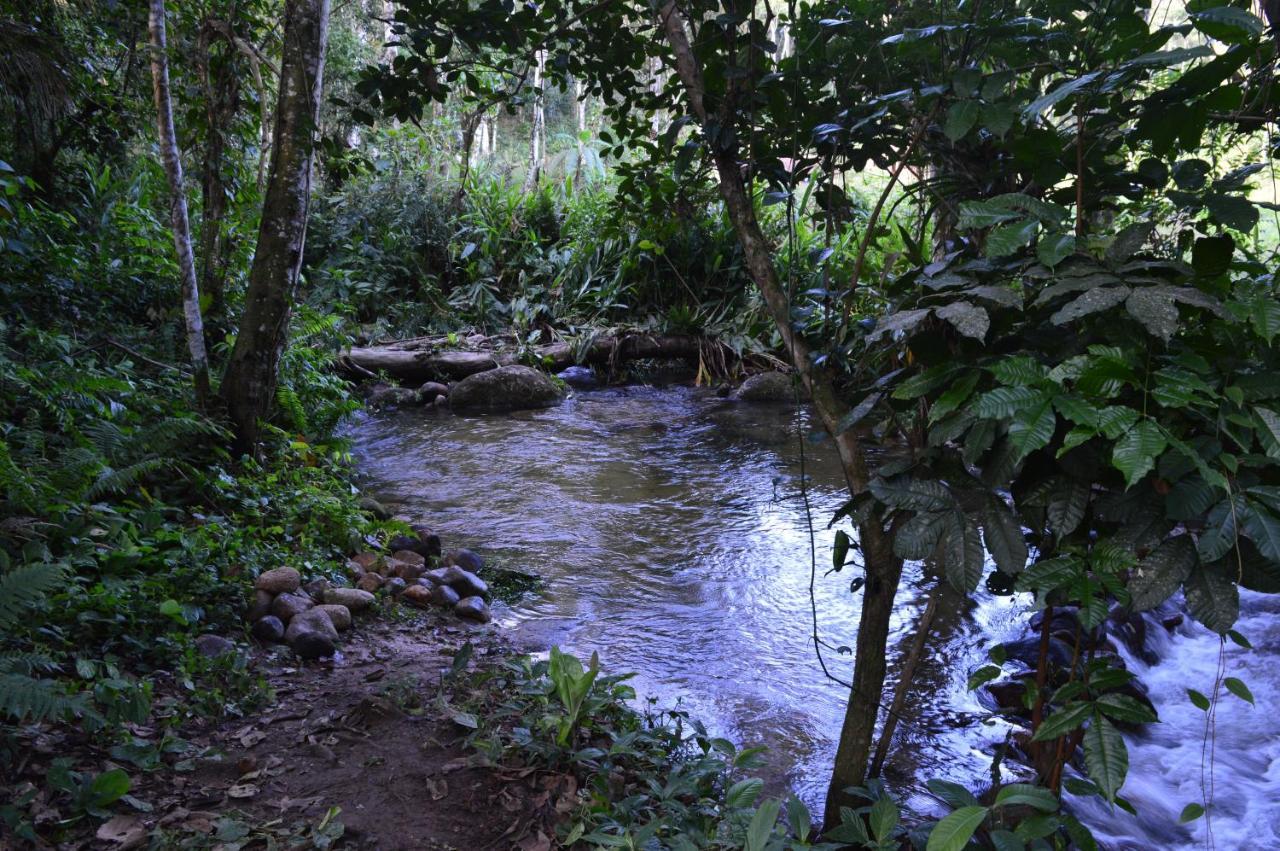 Recanto Da Margo 1, Casa Com Acesso A Cachoeira Araquari Eksteriør bilde